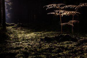 毛穴改善に効果的なメンズエステとは？