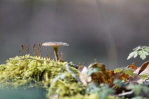 メンズの毛穴ケアに最適なエステはどこ？