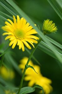 毛穴の悩みを解消するためのメンズ洗顔の選び方は？