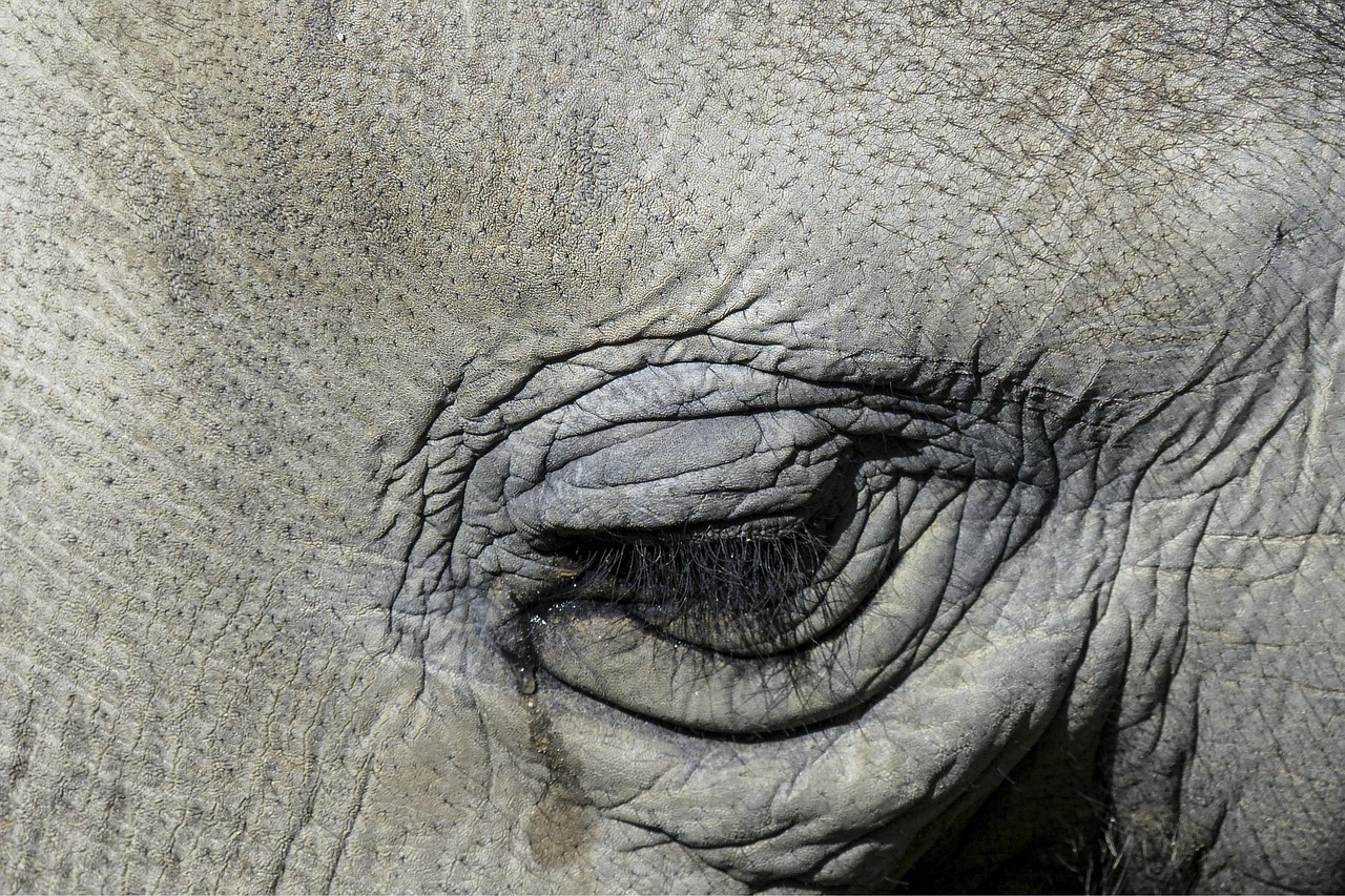 メンズにおすすめの化粧水で毛穴を引き締める方法は？