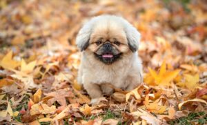 毛穴の開きを改善するための下地の選び方は？