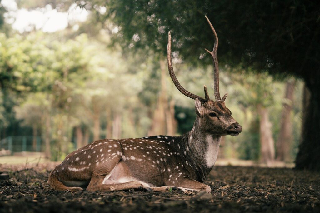 角栓除去が得意な美容皮膚科はどこ？