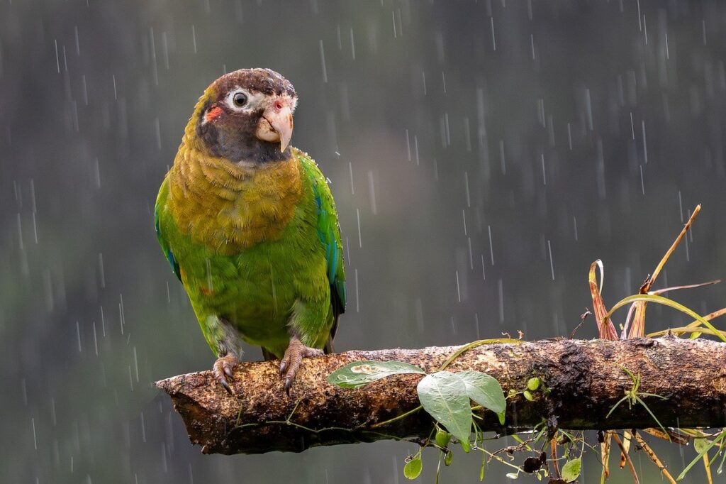 頬の毛穴とたるみを改善するための方法は？