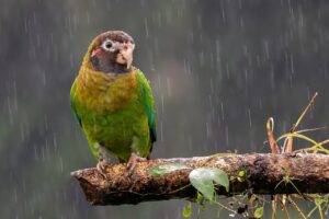 頬の毛穴とたるみを改善するための方法は？