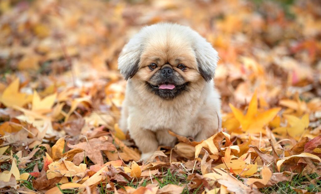 たるみ毛穴に悩むあなたへ、ナイアシンアミドの効果は本当にあるの？