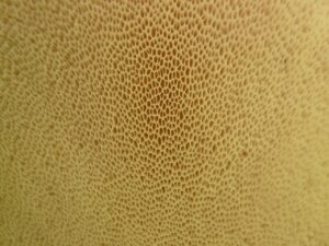 毛穴治療で医師がいることが重要な理由とは？